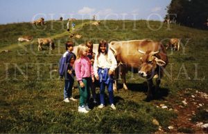 Cadets visit the cow pasture