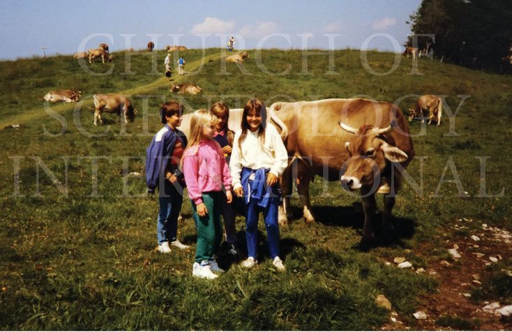 Cadets visit the cow pasture